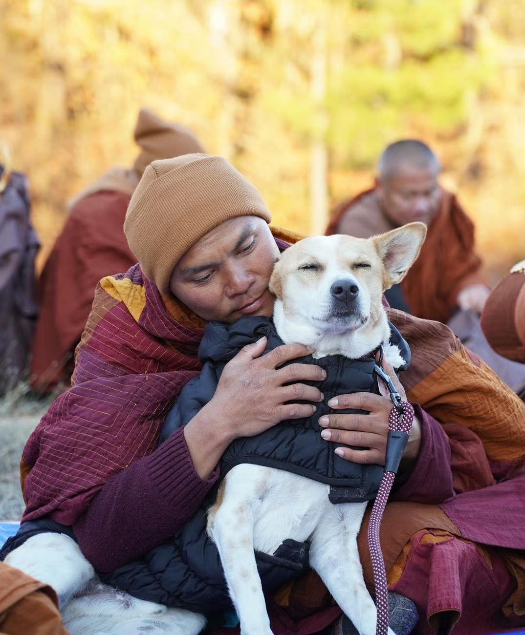 A Buddhist monk embracing Aloka the Peace Dog in a peaceful forest setting